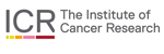 ICR The Institute Of Cancer Research